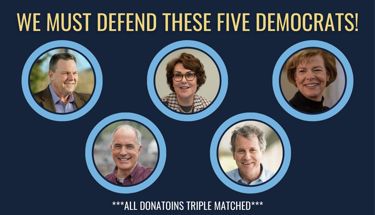 We must defend these five Democrats!