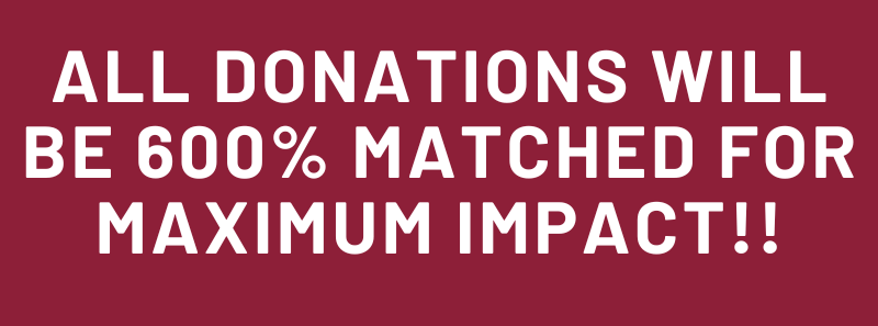 ALL DONATIONS WILL BE 600% MATCHED FOR MAXIMUM IMPACT!!
